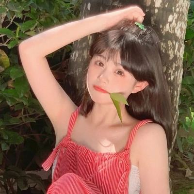 大西游九游版下载